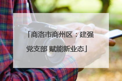商洛市商州区：建强党支部 赋能新业态